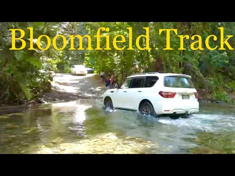 Bloomfield Track 4x4 Road Trip / Cape Tribulation to The Lions Den Hotel 🦁