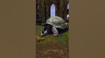 The 1 MILLION Rune Glitch (Elden Ring)