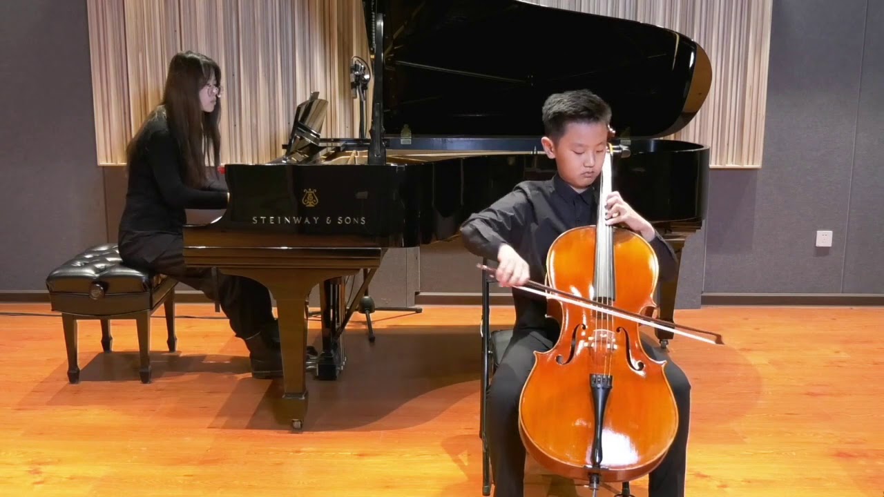 Strings Category American Youth Musician Union