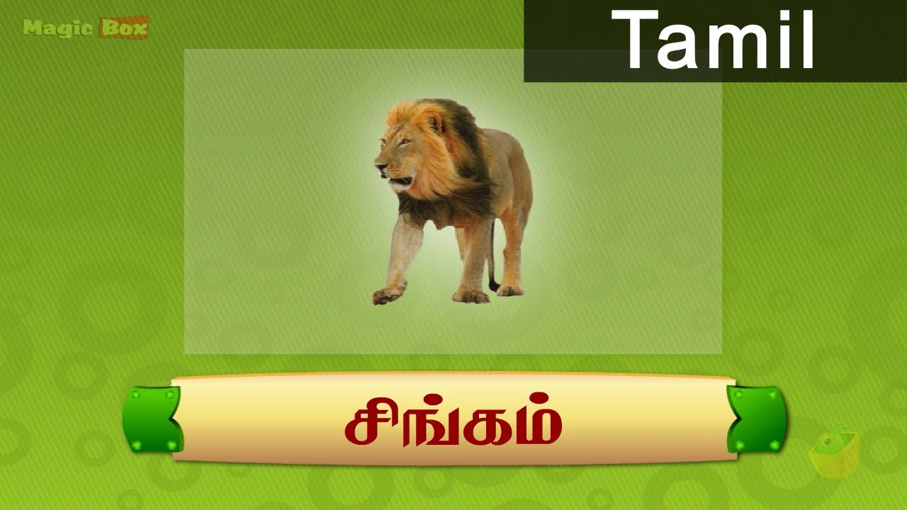 Deer Characteristics In Tamil