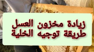 العسل و موسم الفيض، طريقة الحفاظ على مخزون العسل في الخلية القوية، توجيه الخلية .