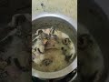 Cooking matumbo for dinner, MercyNguku The World Trailler #worshipsongrewritten