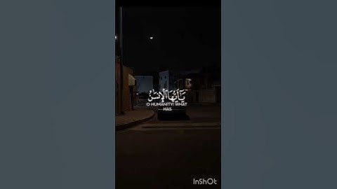 "يا أيها الإنسان ما غرك بربك الكريم؟" | تلاوة مؤثرة بصوت ماهر المعيقلي 🎧💔 #المصحف