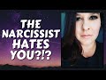 Does the Narcissist Hate You!?