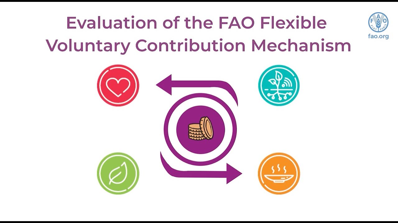 Evaluation of the FAO Flexible Voluntary Contribution Mechanism