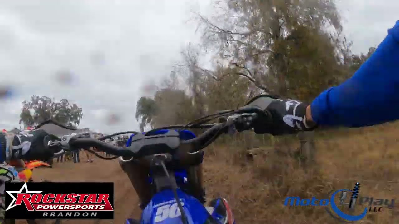 FTR - Mondon Hill Vet A