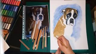 Soft Pastel Pet Portrait - Boxer Dog - by Artist Janette Oakman - Faber Castell Pastels screenshot 2