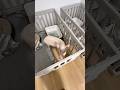 嫁の逆鱗に触れたらしい笑