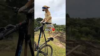 Iconic Dogs Meme🐶 : Then Vs Now⏳🐾