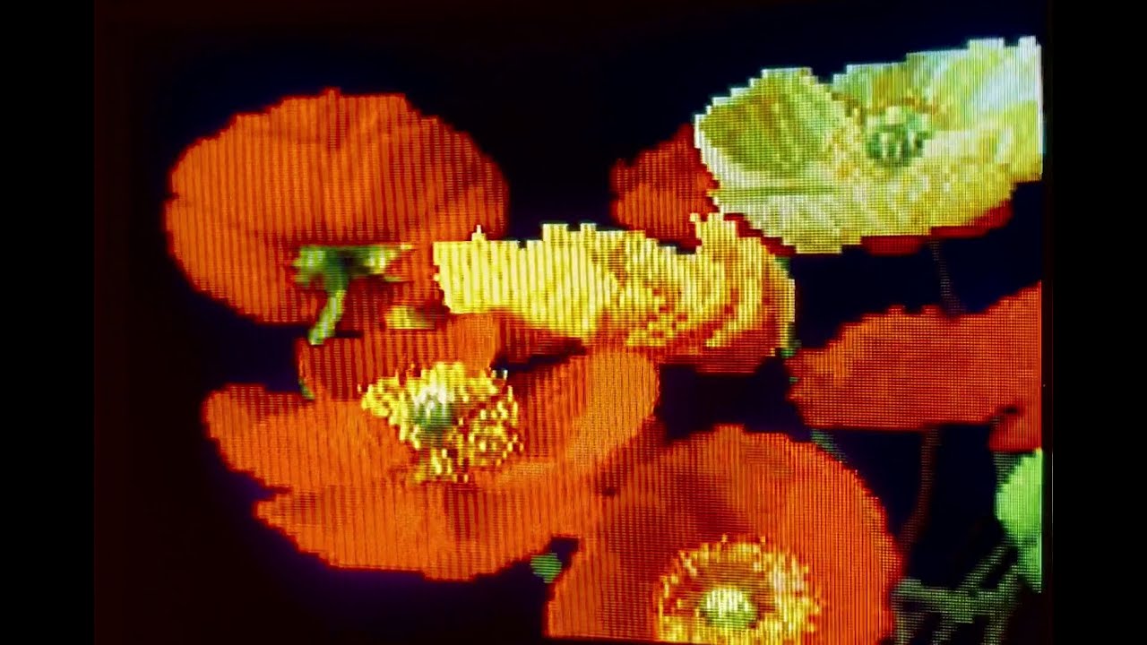 Demo Pixel Poppies PSX Playstation Art Test On Panasonic Quintrix F CRT YouTube