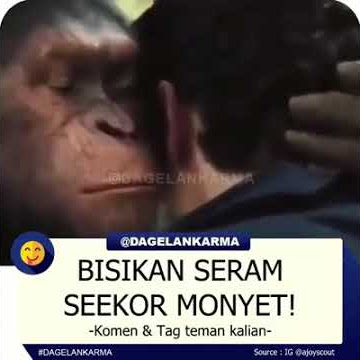 Bisikan Lucu monyet 😂