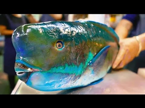 فيديو: طبخ شطائر السمك اليابانية