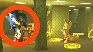 Sonic in the Backrooms? (found footage)