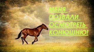 МЕНЯ ПОЗВАЛИ ОСМОТРЕТЬ КОНЮШНЮ! как там было? новые лошади!!! у меня была экскурсия!