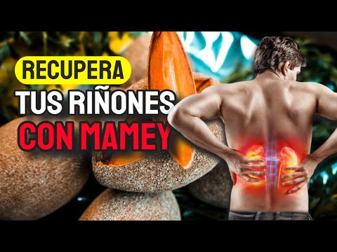 PROPIEDADES Y BENEFICIOS