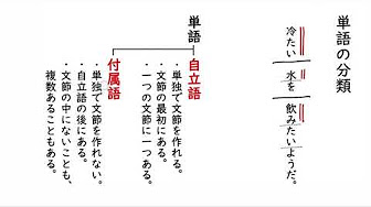 国語 文法 中１ 単語の分類 Youtube
