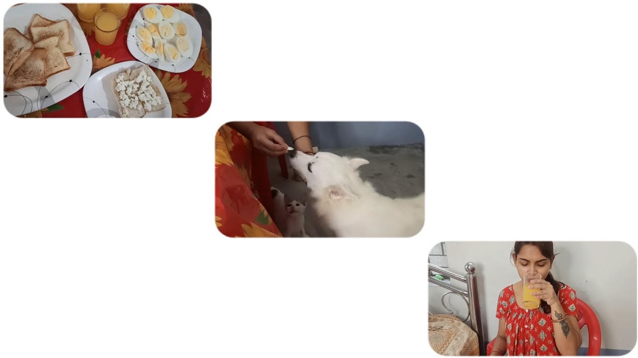 Sunday special breakfast...... but seta ki..... - YouTube