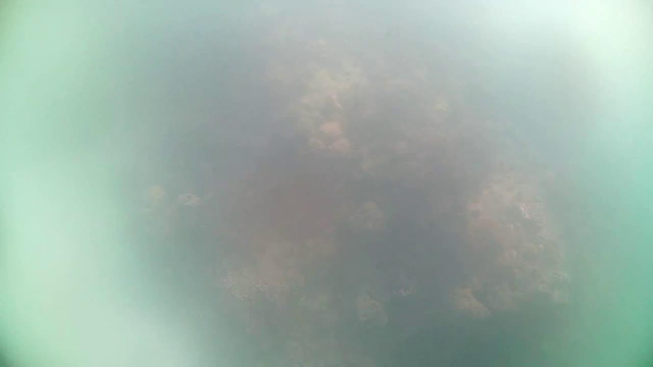 YouTube player