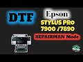 Epson Stylus Pro 7900 /7890 Series: Repairman mode