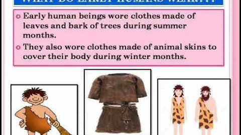 Class IV Science Chapter 9 CLOTHES OUR BASIC NEEDS Part 2