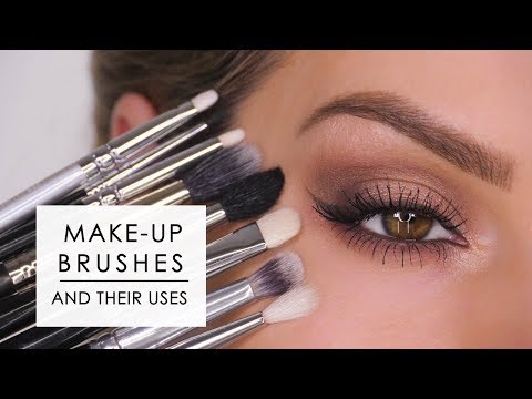 Makeup Brushes & How To Use Them - Eyes | Shonagh Scott