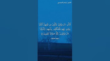 سورة الأنفال ( ٥٤ - ٥٥) / ياسر الدوسري