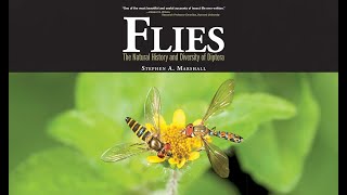 Flies The Natural History And Diversity Of Diptera