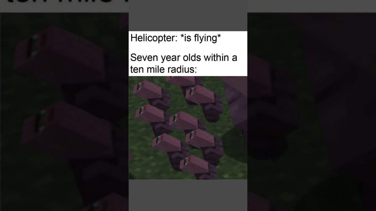 Funny Minecraft Memes 