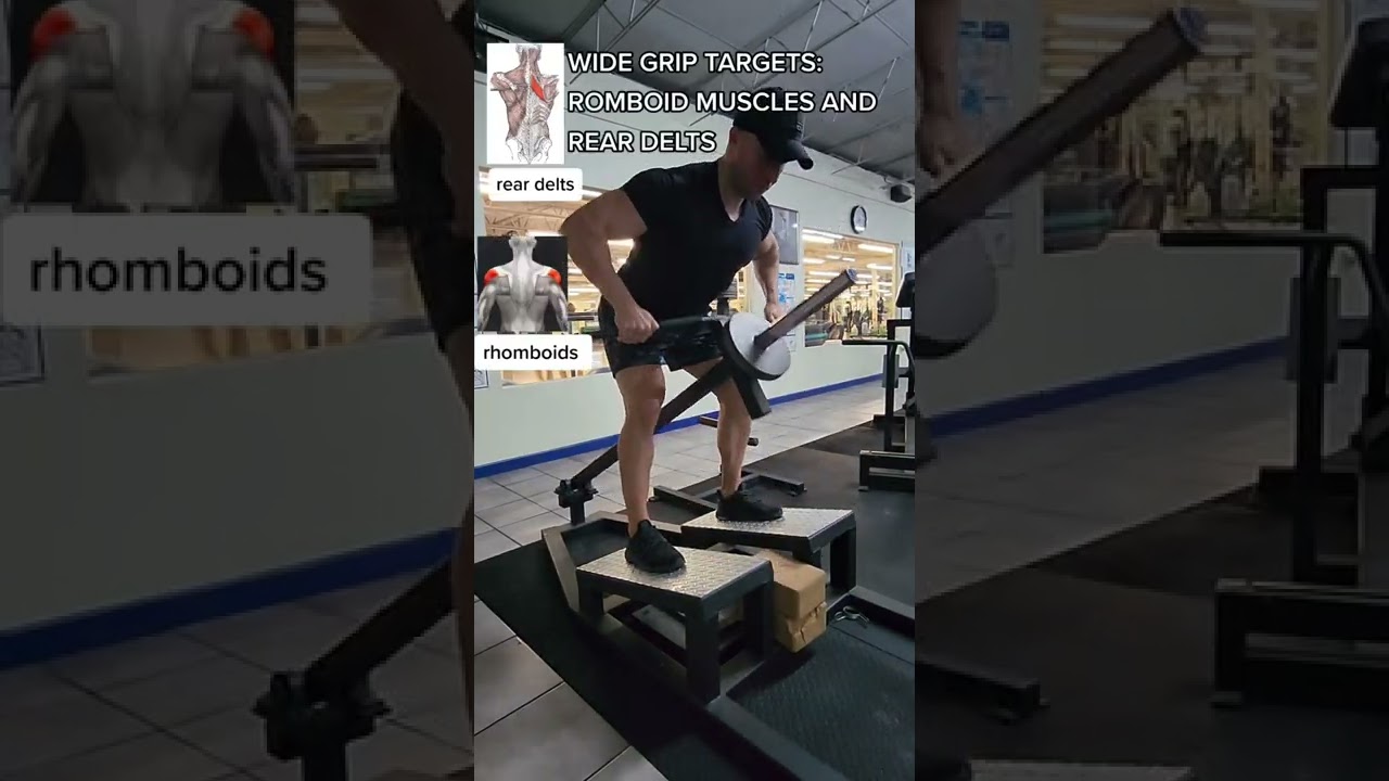 T-bar row variations 