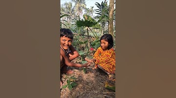 Creative Reverse#Creative videography idea#short video📹