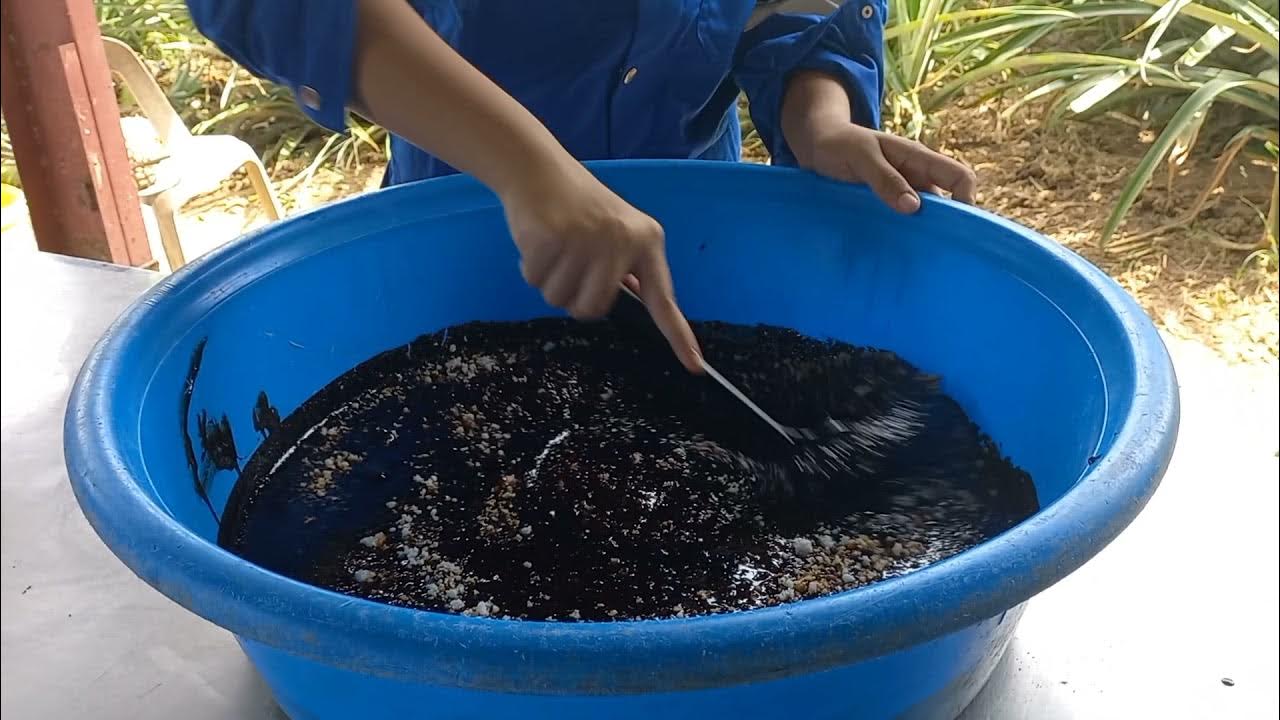 Urea Molasses Mineral Block (UMMB) Making. YouTube