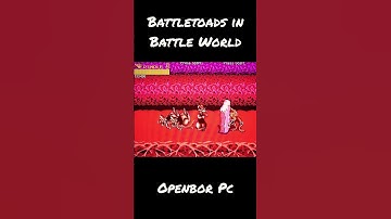 Battletoads in Battle World