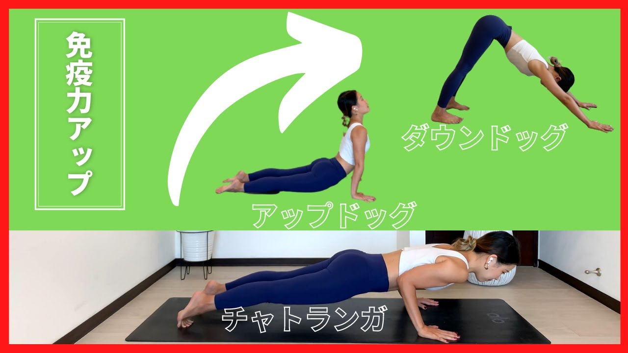 ダウンドッグの効果とやり方 ヨガの基本 初心者向け軽減法やバリエーション できない原因別対処法も紹介 ここからリンク