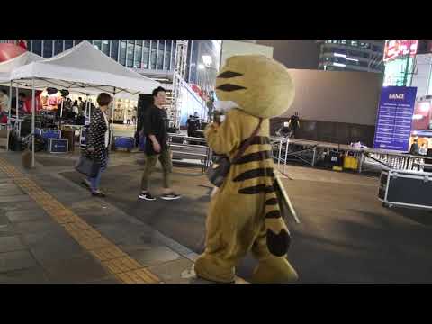 JHKTV] 신촌명물고양이선물은 신이나  shinchon special cat The <strong>gift</strong> <strong>is</strong> good.Happy to seeyou(song)