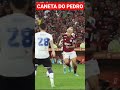PEDRO A Cada Dia Mais Decisivo Shorts Flamengo Libertadores Brasileirão Copadobrasil Pedro PEDRO A Cada Dia Mais Decisivo Shorts Flamengo Libertadores Brasileirão Copadobrasil Pedro