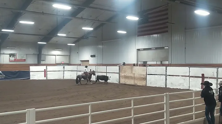 Yeti Fence Work - 73.5