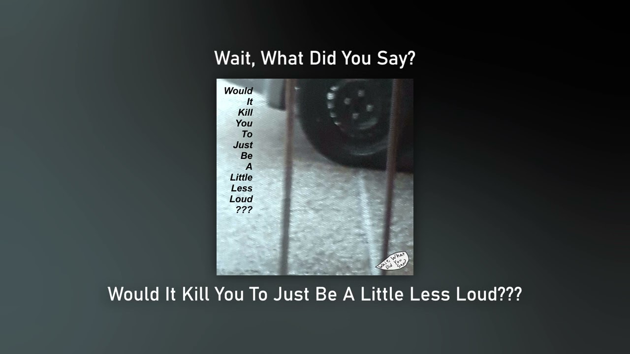 Wait, What Did You Say? - Would It Kill You To Just Be A Little Less Loud???