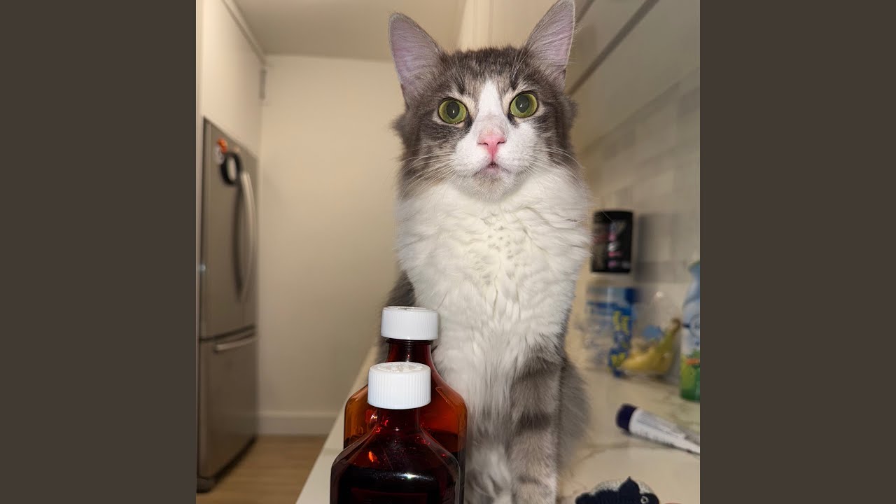 Guarda Wallahi su YouTube Guarda Wallahi su YouTube