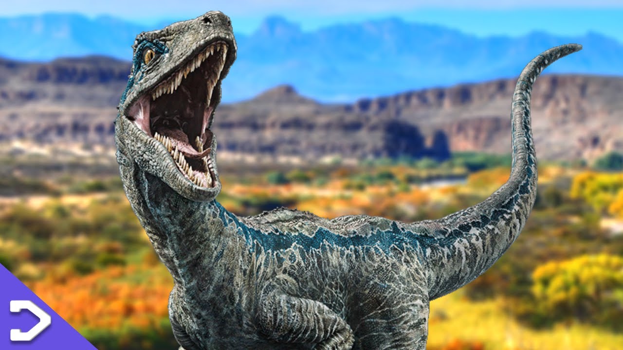 What Happened To Blue After Fallen Kingdom Jurassic World Dominion what-happened-to-blue-after-fallen-kingdom-jurassic-world-dominion