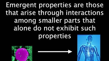 1.1 Emergent Properties