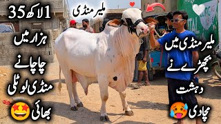 Malir Mandi Karachi Cattle Latest Position Sunday 3 May 2026 | 135K Soda 🤩 | Bakra Eid Season 2026