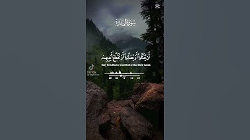 تلاوه خاشعه للشيخ سيد سعيد رحمه الله #قران_كريم #المصحف #اكسبلور