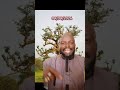 Vive le mali