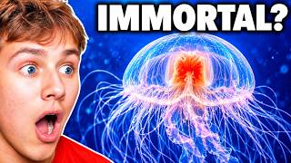 Can This Animal Really Live Forever?