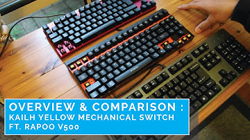 Kailh Yellow Mechanical Switch : Overview & Comparison - ft. Rapoo V500 Mechanical Keyboard