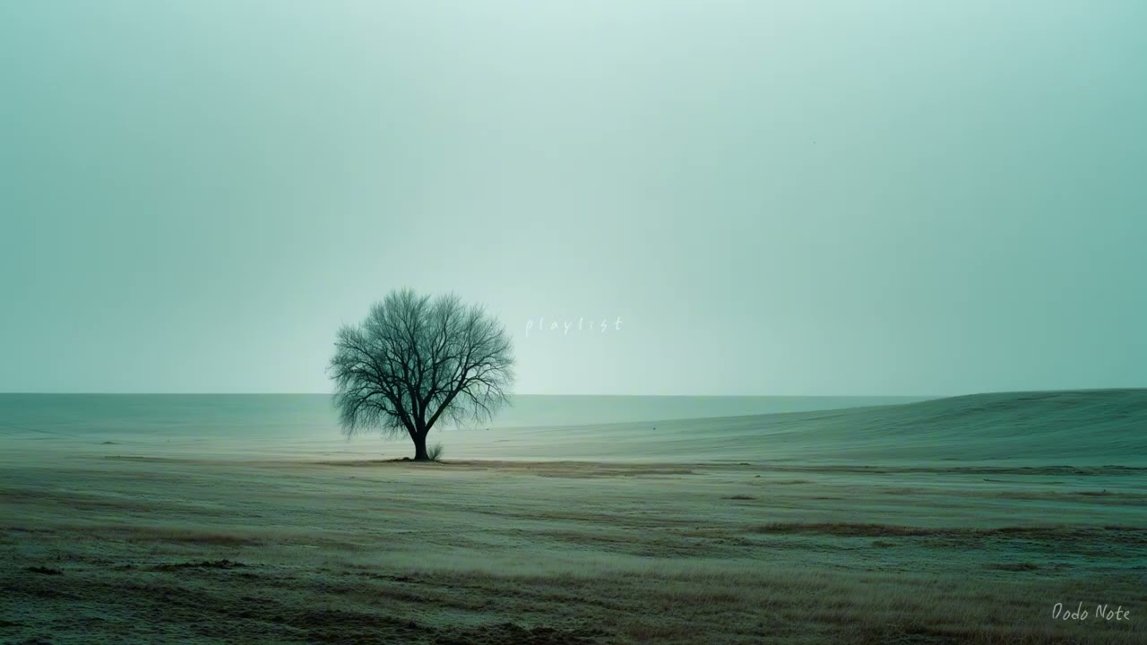 내일 나는 어떤 꽃말로 기억될까? | Piano Playlist