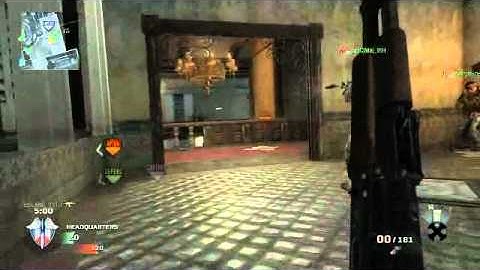 Black Ops Hacks Invisible & God Mode