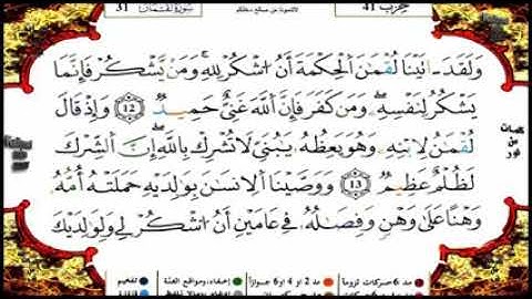 المقطع الثاني من سورة لقمان برواية ورش من الآية 12إلى الآية 20