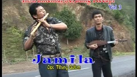 Posther Sihotang Ft. Roy Sihotang - Jamila (Official Instrumental Video)