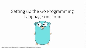 Go Setup on Linux